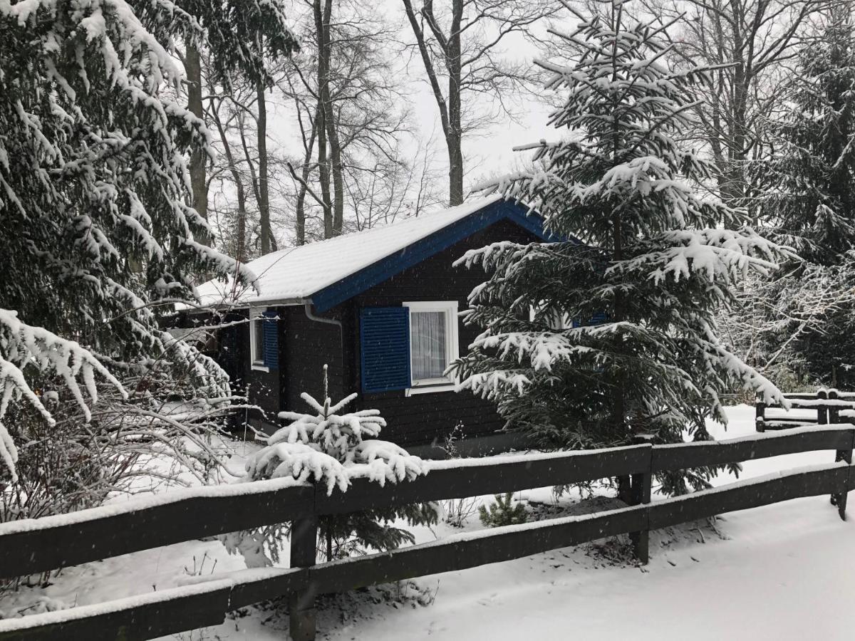 Waldhaus Möhnesee Kültér fotó