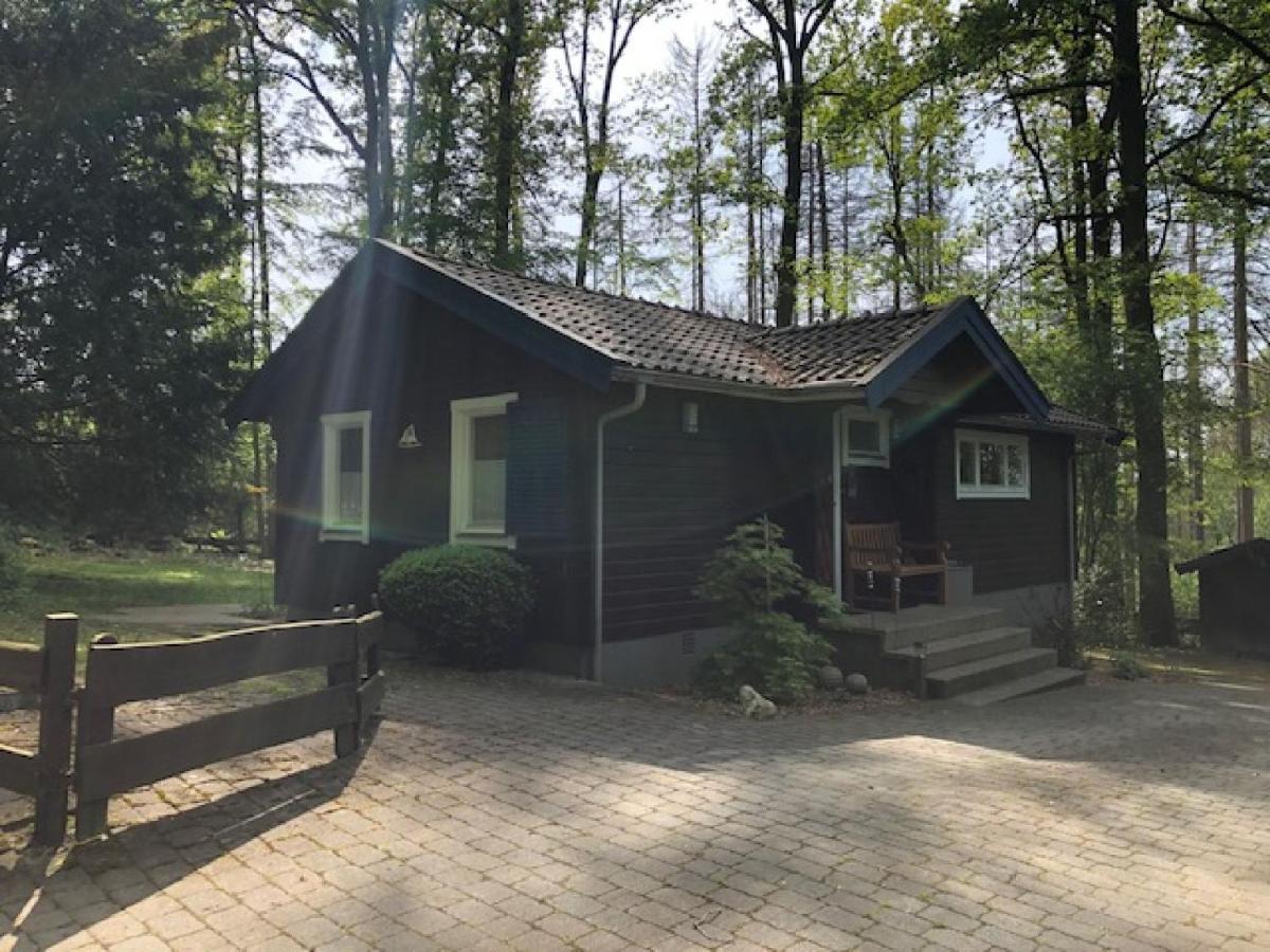 Waldhaus Möhnesee Kültér fotó